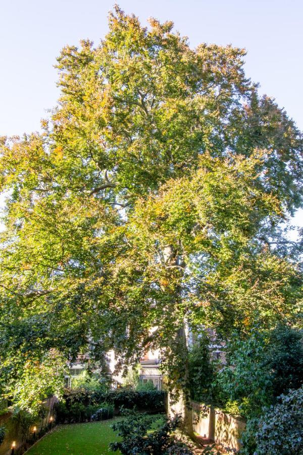 לינה וארוחת בוקר אנטוורפן The Old Beech מראה חיצוני תמונה